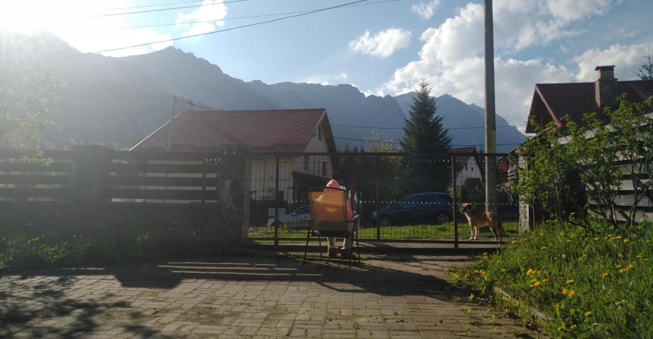 Poiana Dintre Brazi Chalet, Bucegi Panorama Sinaia Exterior photo